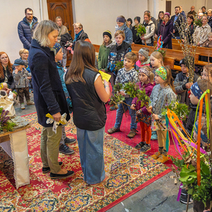 Palmsonntag / Foto Haijes Palmsonntag Pfarre Kirchdorf an der Krems