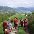 Pilgern auf dem Wolfgangweg / © Christine Dittlbacher Pilgern auf dem Wolfgangweg