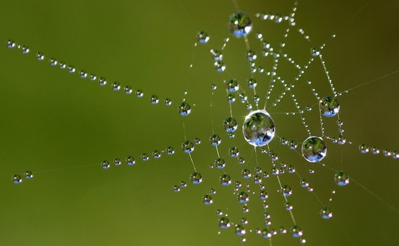 Netzwerk
