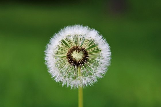 Lasst die Kinder zu mir kommen! / @pixabay Impuls 9