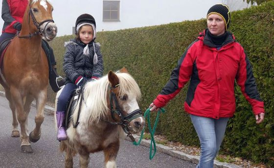 Hoch zu Ross oder in diesem Falle Pony