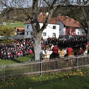  Leonhardiritt 2011