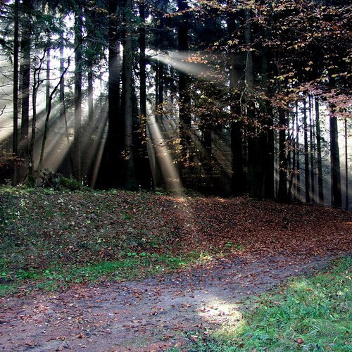 Sonnenstrahlen     