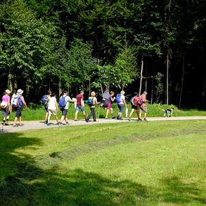 Pilgerwanderung