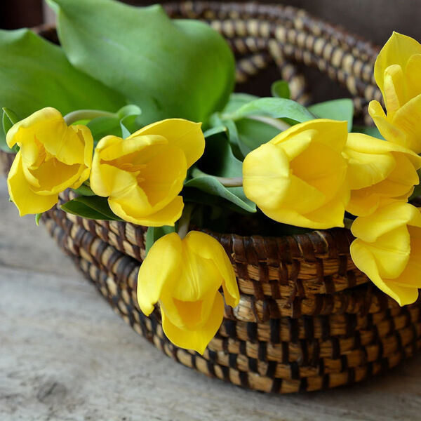 Blumenschmückerinnen / © Pezibear/pixabay.com/Pixabay Licence Blumenschmückerinnen