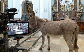 Kunst in der Fastenzeit in der Linzer Ursulinenkirche