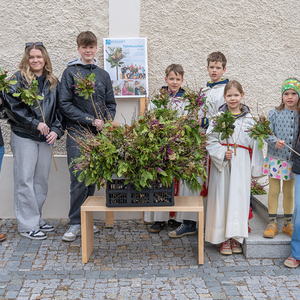 Palmsonntag / Foto Haijes Palmsonntag Pfarre Kirchdorf an der KremsKath. Jungschar bot selbst gebundene Palmbuschen an, der Erlös ist fürs Jungscharlager