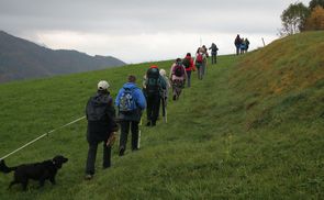 Auf dem Weg