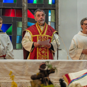 Palmsonntag / Foto Haijes Palmsonntag Pfarre Kirchdorf an der Krems