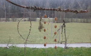 Upcycling 2